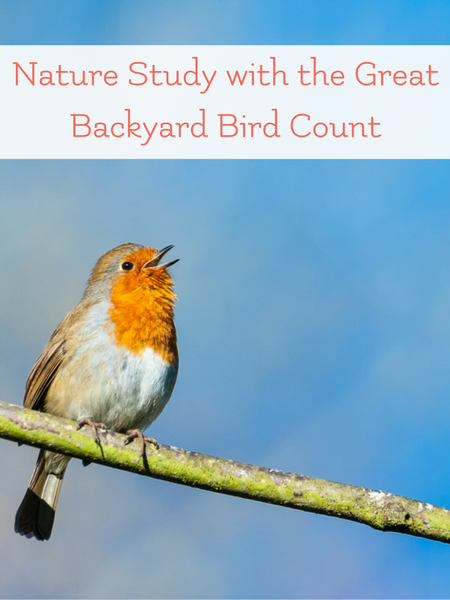 nature study with the great backyard bird count