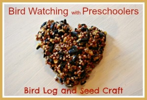 bird watching log and craft preschool