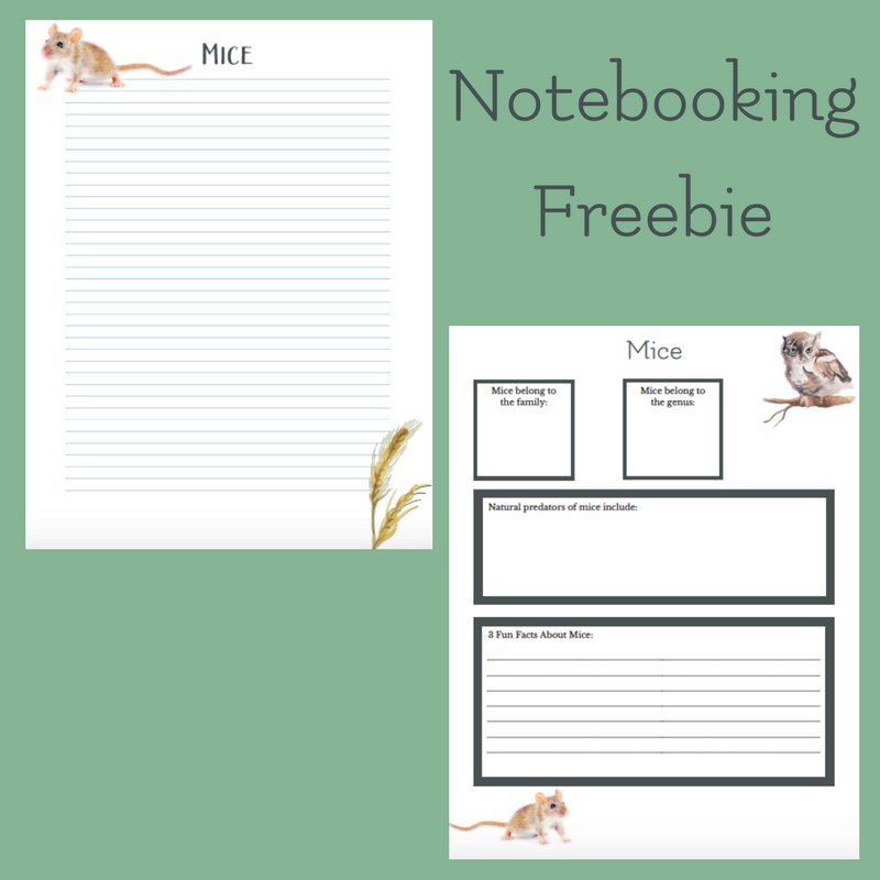 mice note booking page