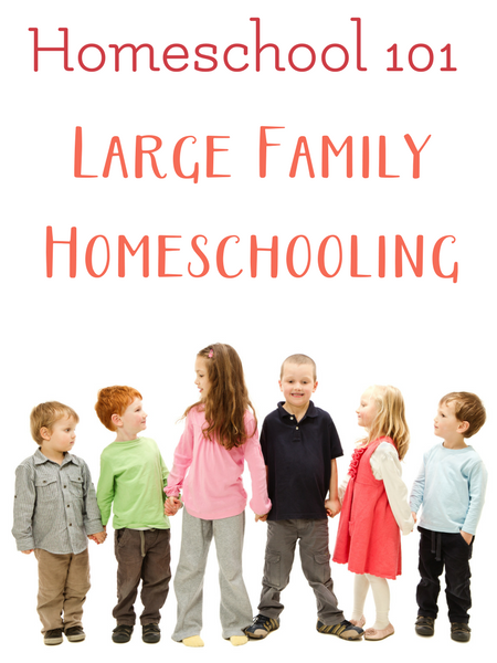 large family homeschooling