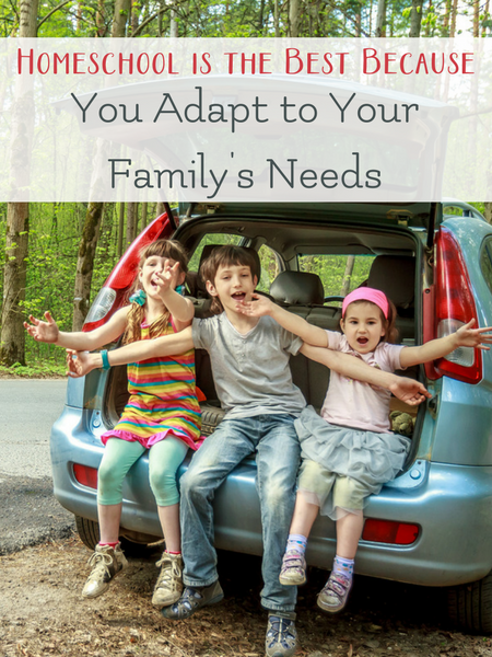 homeschool meets family needs