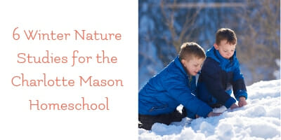 6 Winter Nature Studies for the Charlotte Mason Homeschool