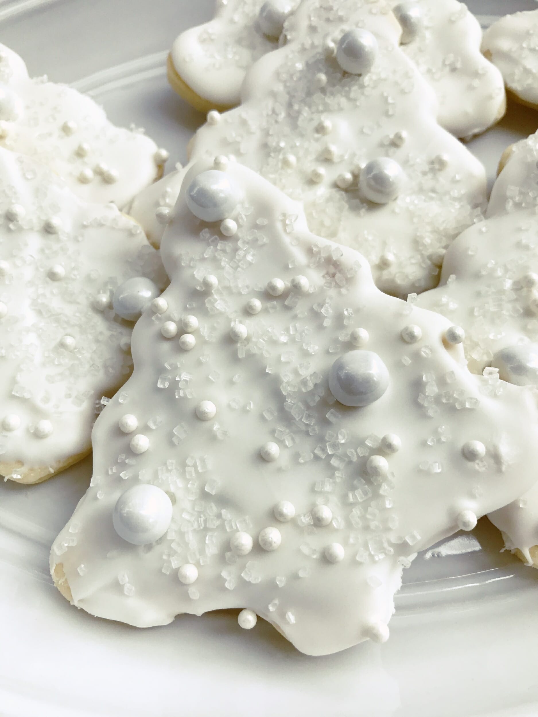 snowy tree sugar cookies for homeschool tea time