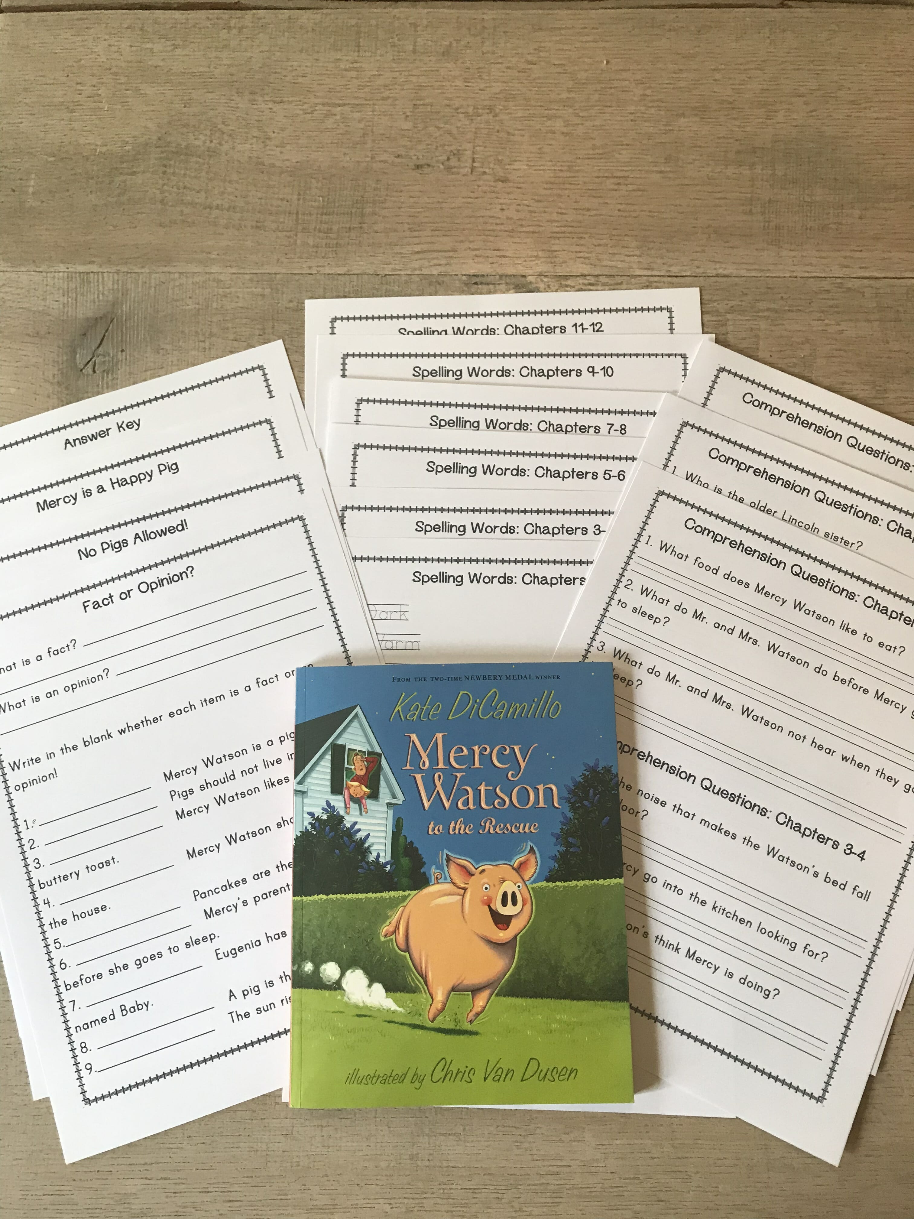 mercy watson book 1 for struggling and dyslexic readers