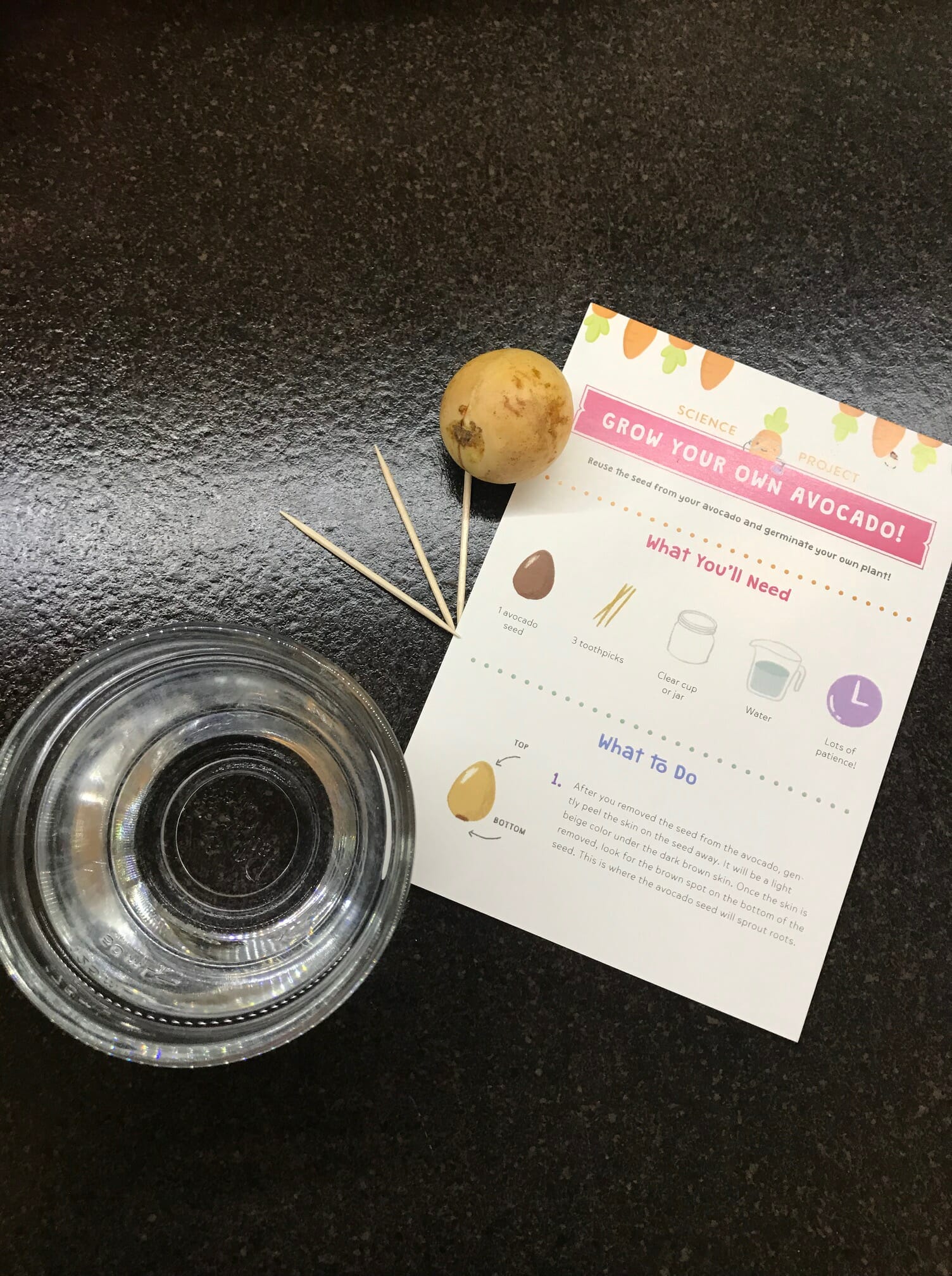 STEM in the kitchen with harlows harvest